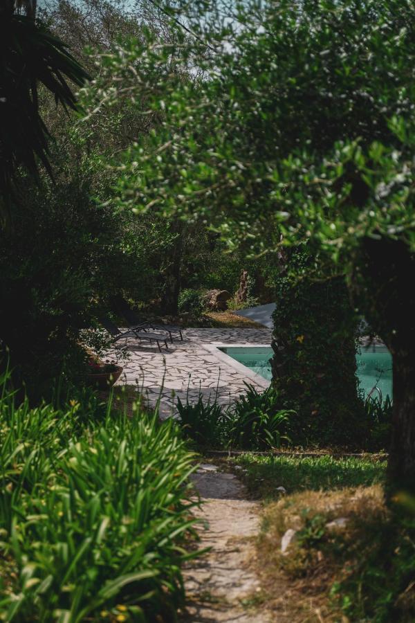 Dimoulitsa Villas Complex Doukádes エクステリア 写真