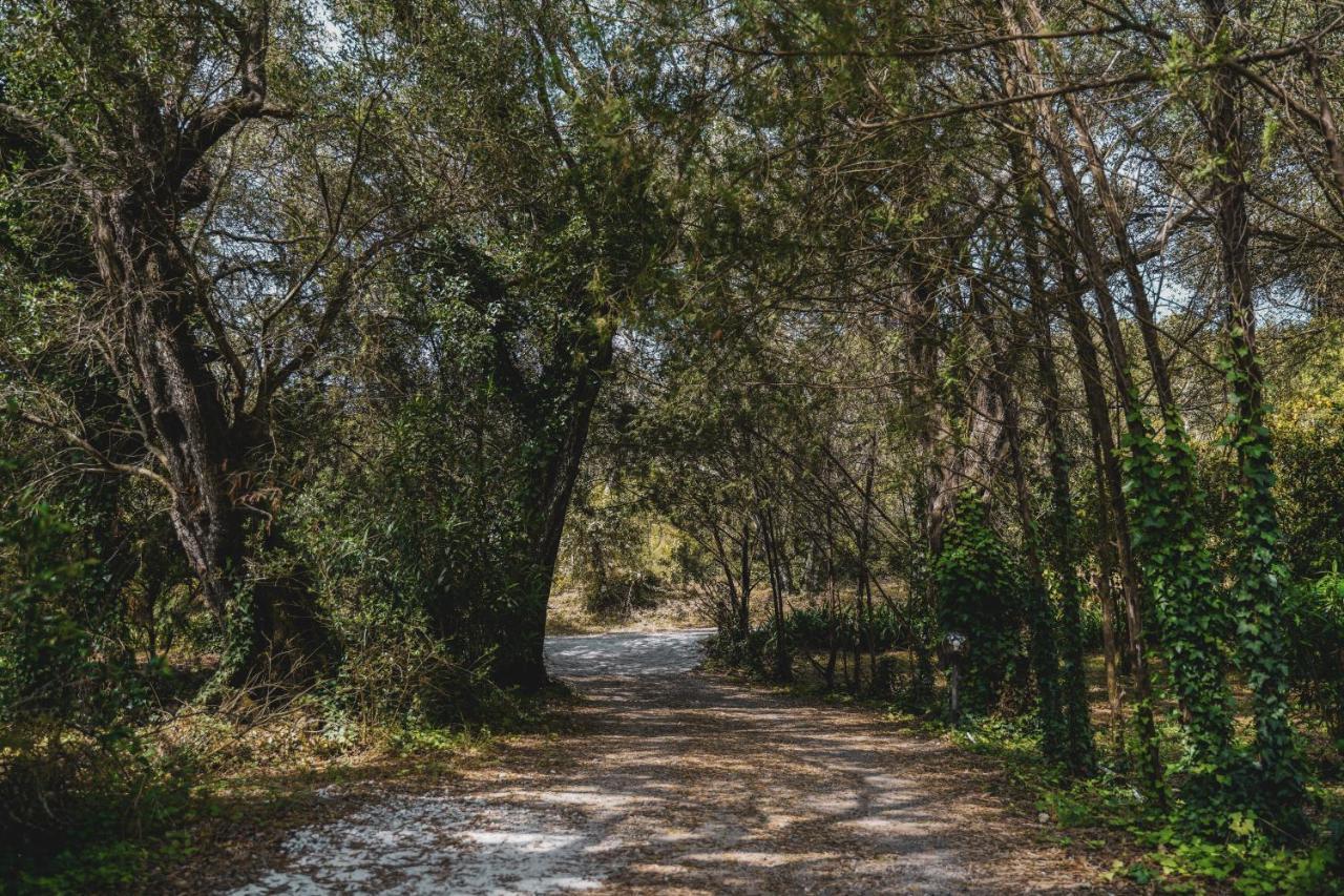 Dimoulitsa Villas Complex Doukádes エクステリア 写真