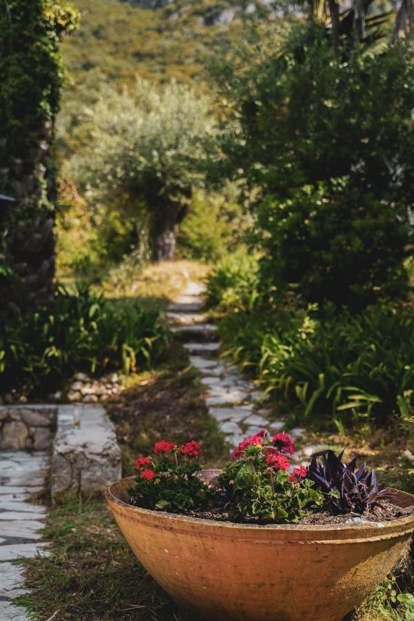 Dimoulitsa Villas Complex Doukádes エクステリア 写真