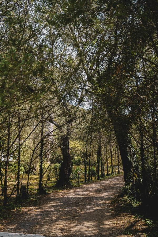 Dimoulitsa Villas Complex Doukádes エクステリア 写真